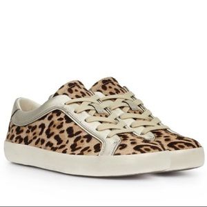 Adorable! Sam Edelman Britton Leopard Sneakers